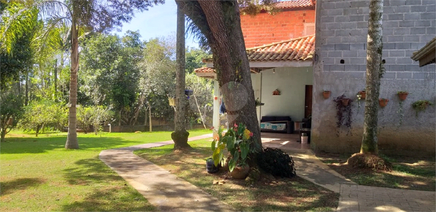 Foto REO1093838