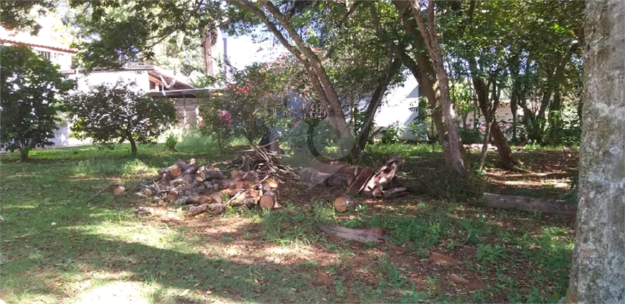Foto REO1093838