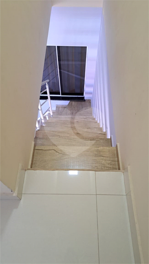 Foto REO1093845