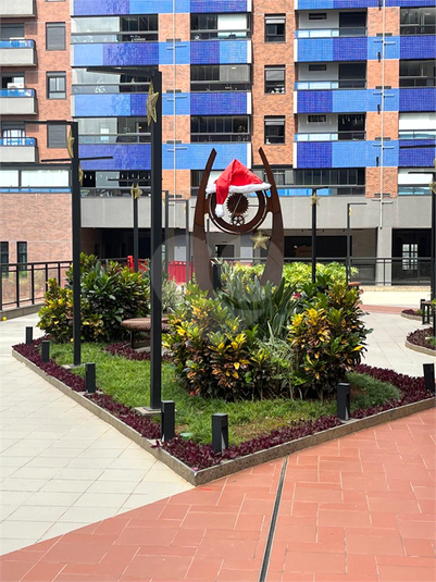 Foto REO1093858