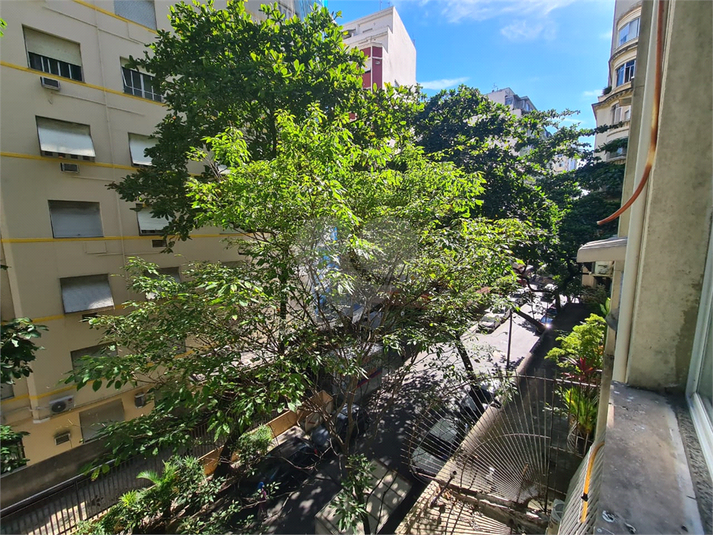 Foto REO1093860