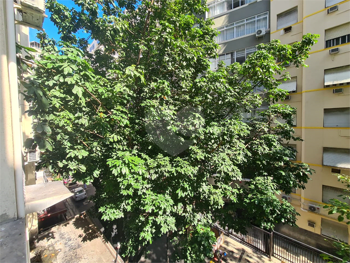 Foto REO1093860