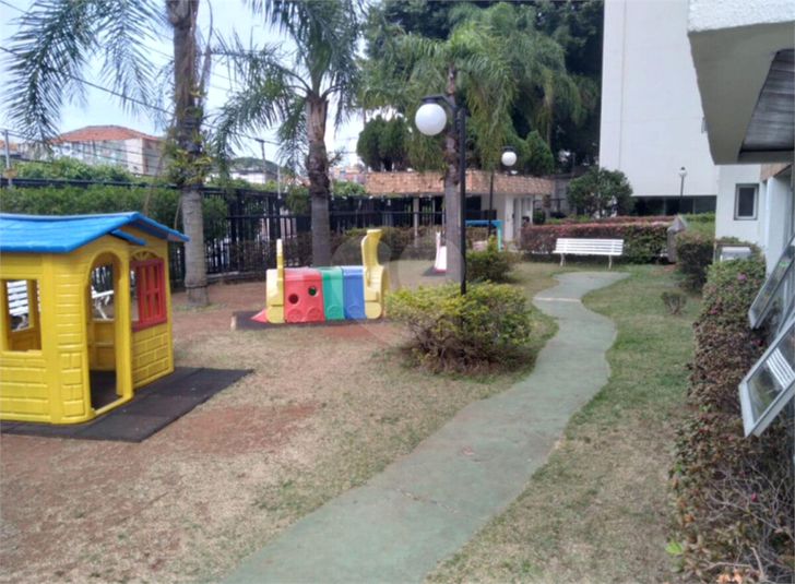 Foto REO1093861