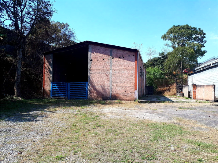 Foto REO1093863