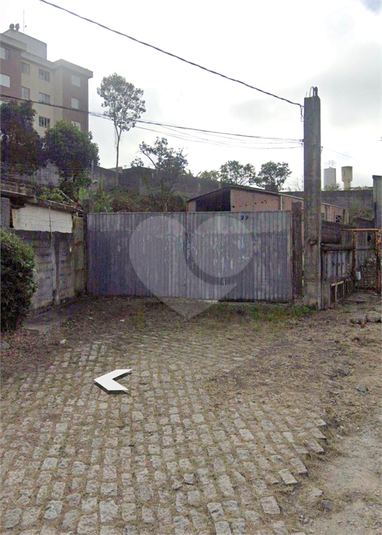 Foto REO1093863