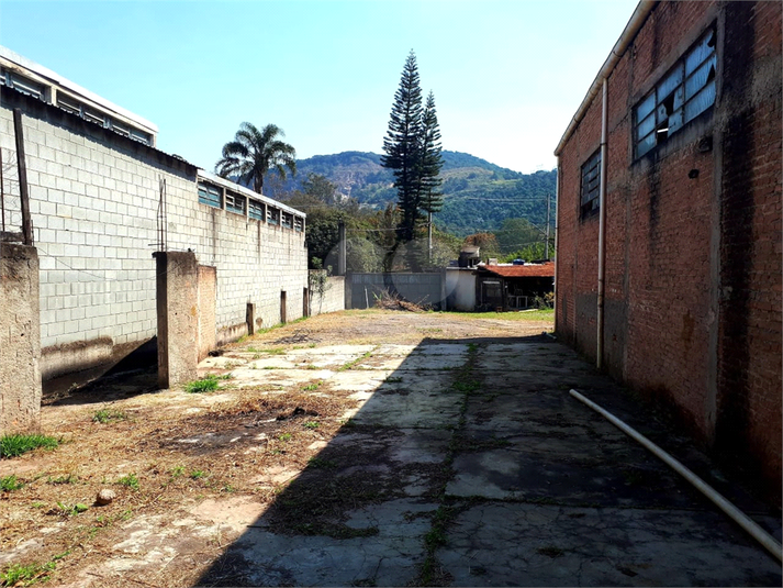 Foto REO1093863