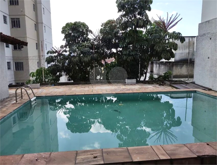 Foto REO1093867