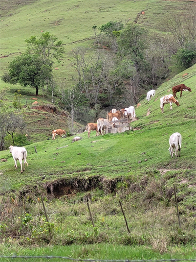 Foto REO1093877
