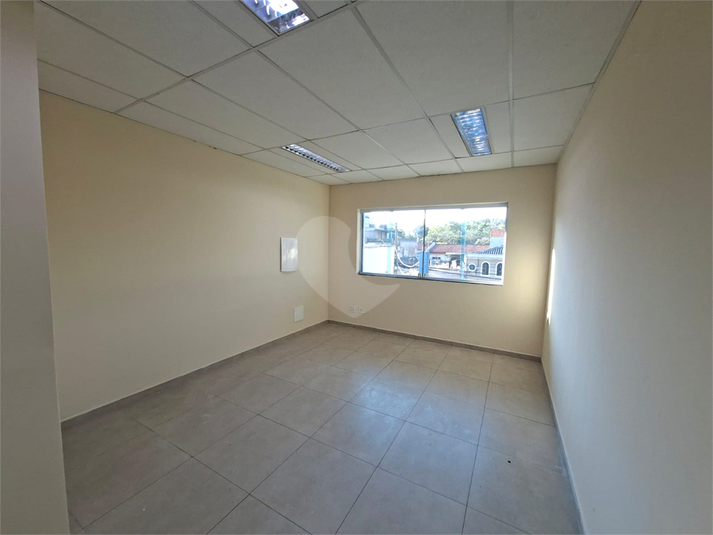 Foto REO1093886