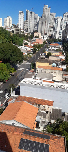 Foto REO1093890