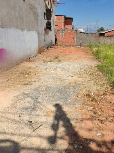 Foto REO1093902