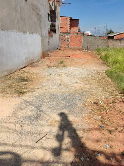 Foto REO1093902