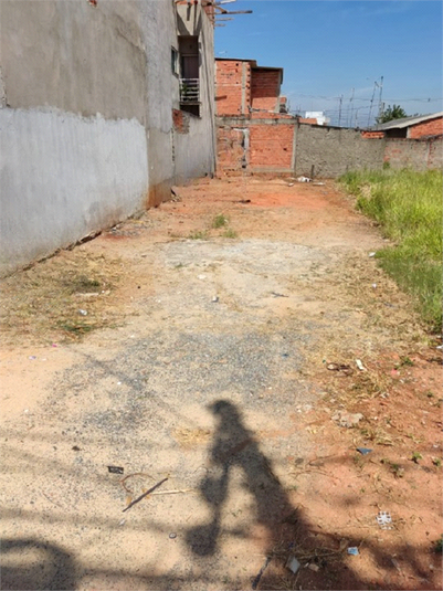 Foto REO1093902
