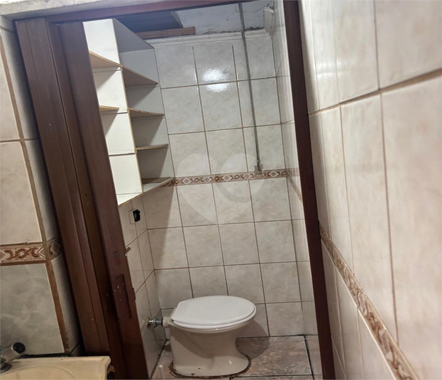 Foto REO1093938