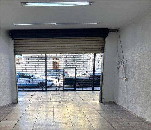 Foto REO1093938