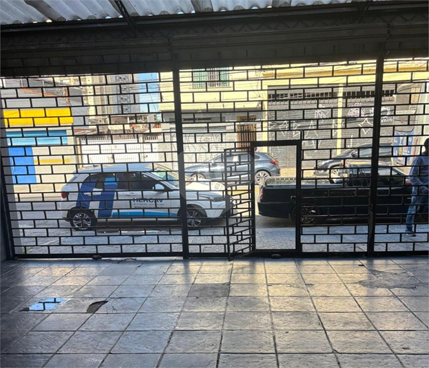 Foto REO1093938