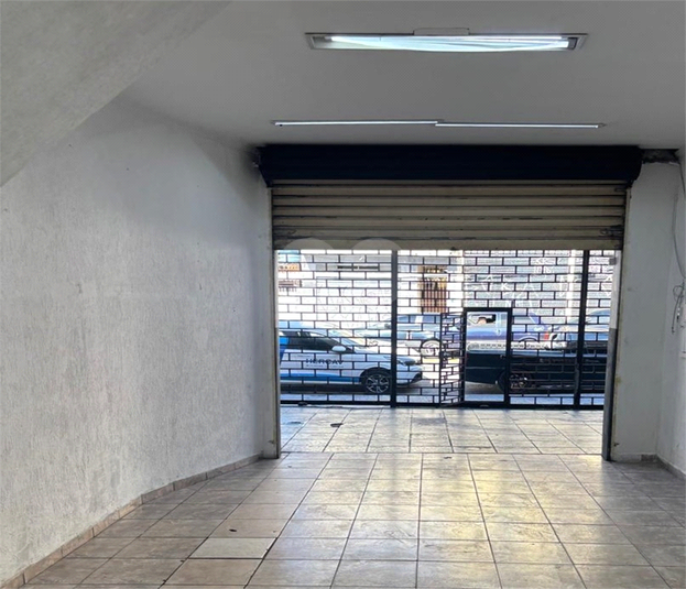Foto REO1093938