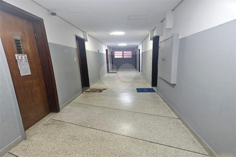 Foto REO1093944