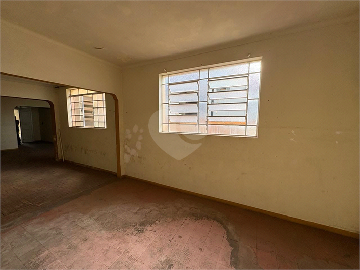 Foto REO1093960