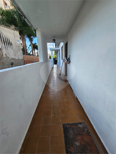 Foto REO1093961