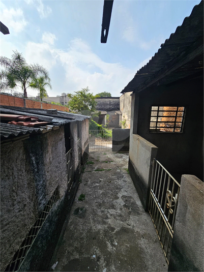 Foto REO1093961