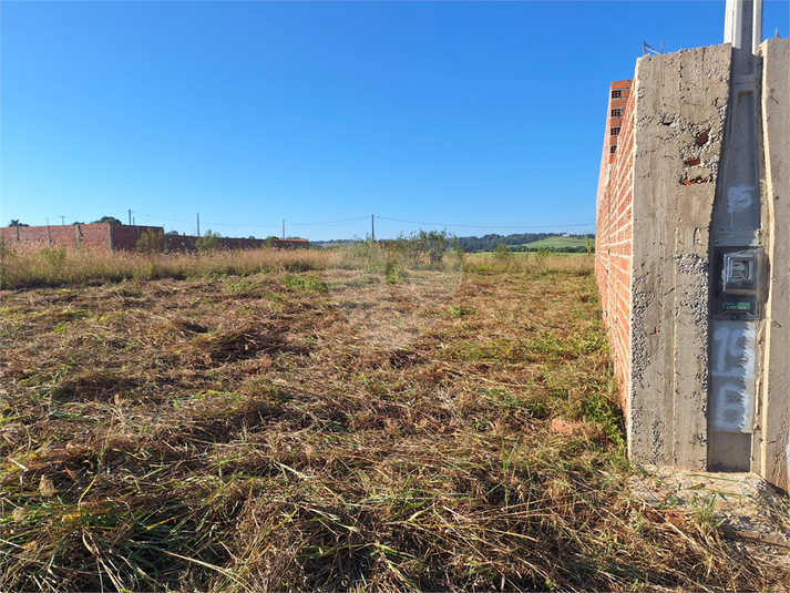 Foto REO1093964
