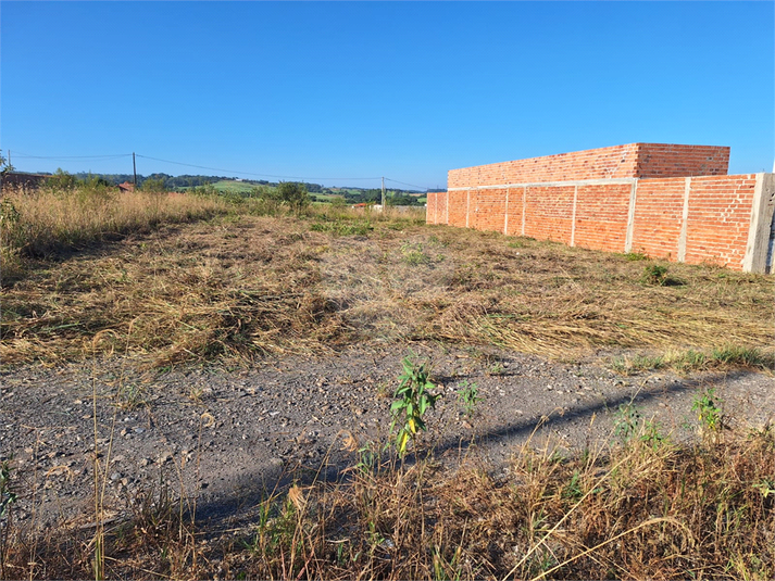 Foto REO1093964
