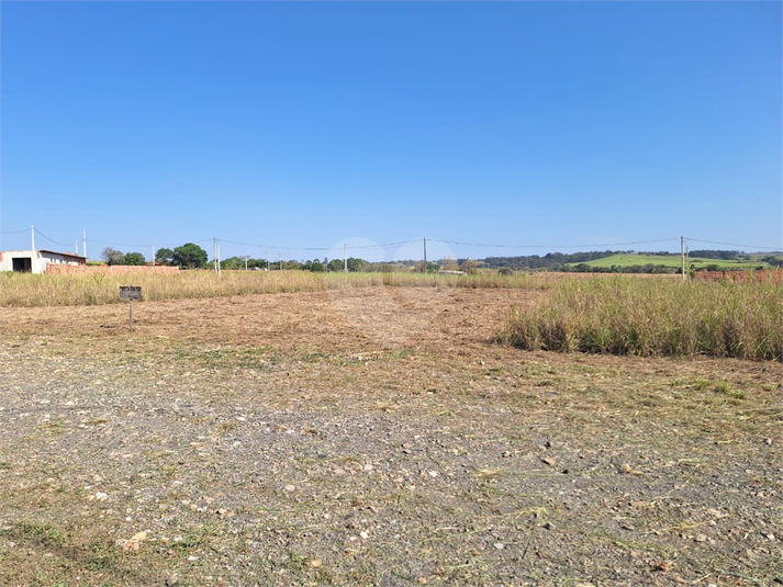 Foto REO1093964