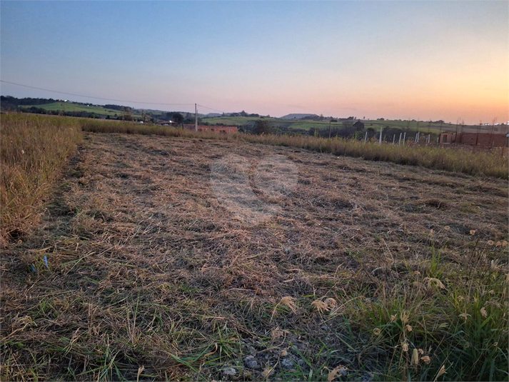 Foto REO1093964