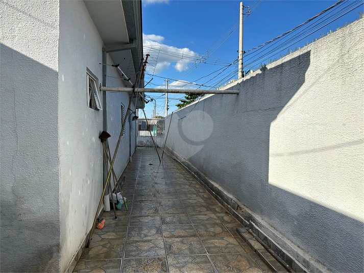 Foto REO1093982