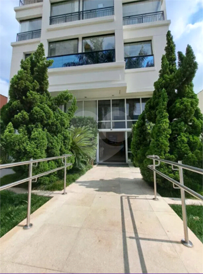 Foto REO1093986