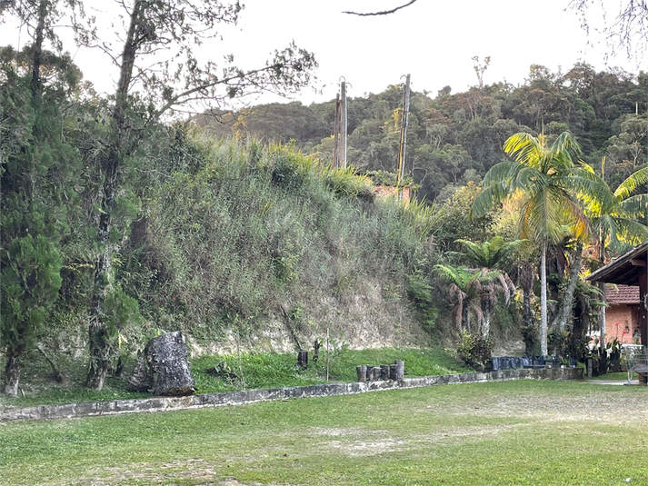 Foto REO1093987
