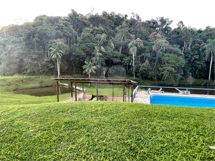 Foto REO1093987