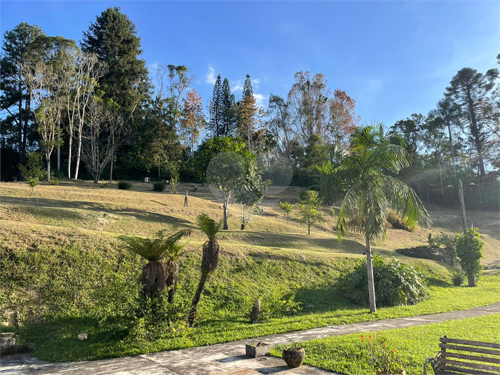 Foto REO1093987