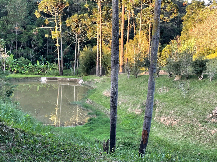 Foto REO1093987