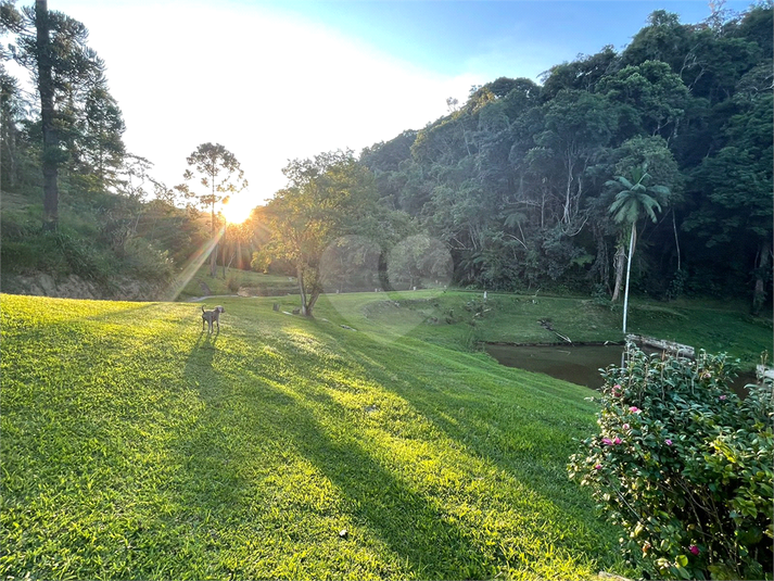 Foto REO1093987