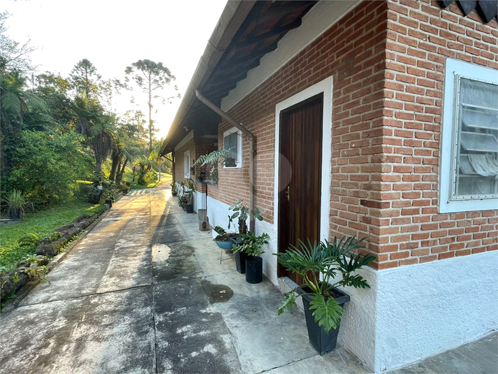 Foto REO1093987