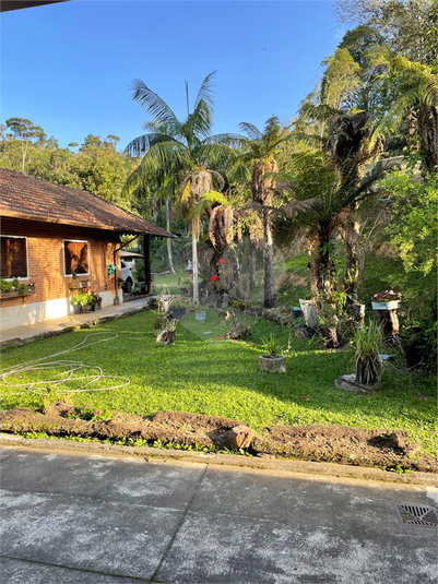 Foto REO1093987