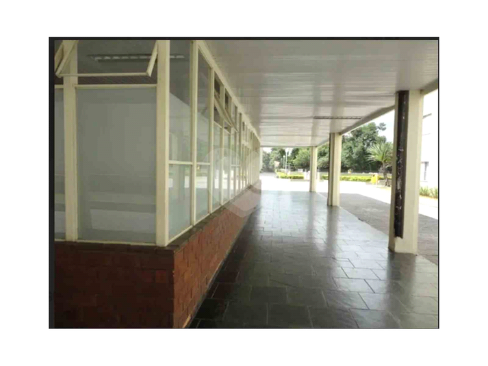 Foto REO1093998