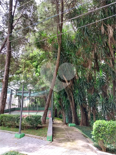 Foto REO1094003