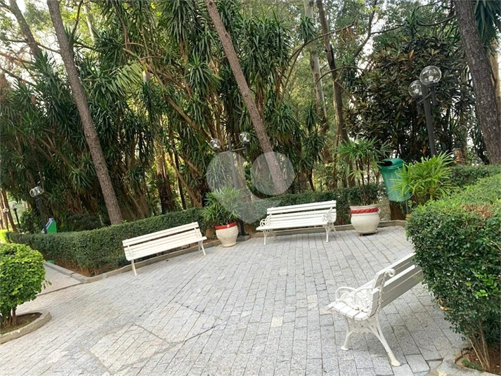 Foto REO1094003