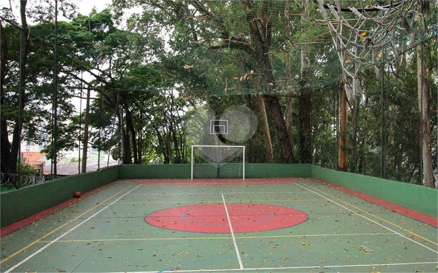 Foto REO1094003