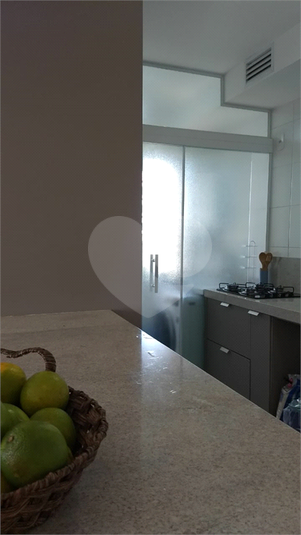 Foto REO1094006