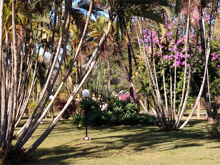 Foto REO1094009