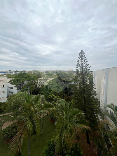 Foto REO1094032