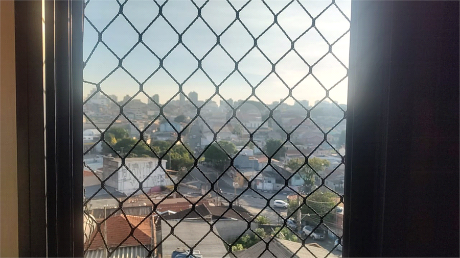 Foto REO1094041