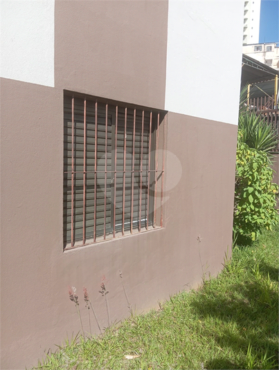 Foto REO1094044