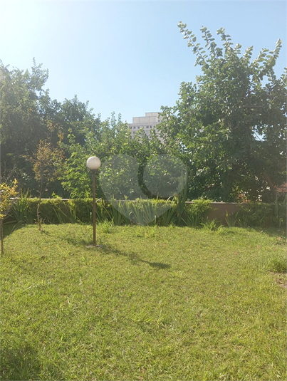 Foto REO1094044