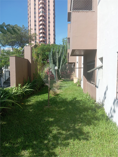 Foto REO1094044