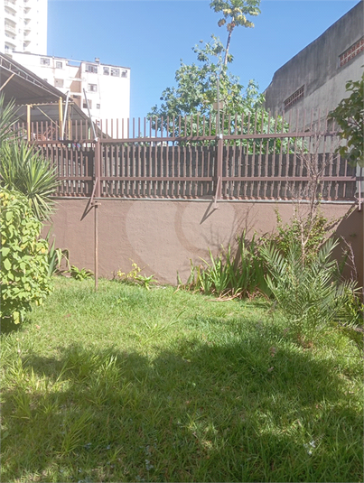 Foto REO1094044